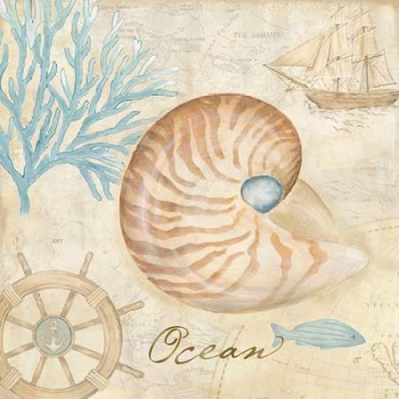 Nautical Shells III Poster Print by Cynthia Coulter - Item # VARPDXRB7273CC